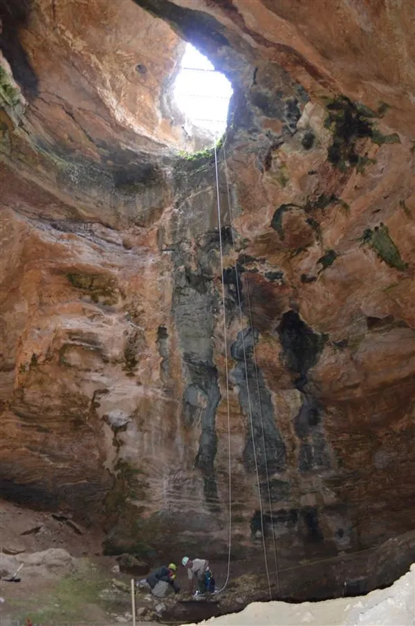 باستان شناسان آمریکایی در مناطق کوهستانی غرب ایالات متحده (وایومینگ)  پس از حفاری به یک گنجینه ای نادر از فسیل های پستانداران عصر یخبندان و صدها استخوان از حیوانات ماقبل تاریخ از جمله یوزپلنگ آمریکایی دست یافته اند./AP
