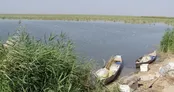 رها سازی آب سد کرخه در تالاب هورالعظیم