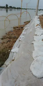 تابناک