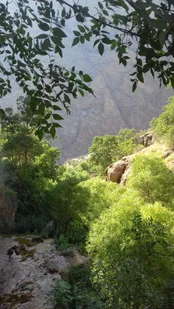 طبیعت بهاره آب گرمه دورود لرستان