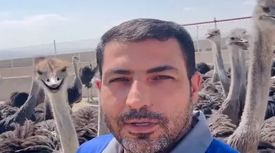 لحظه سرقت میکروفن توسط شترمرغ