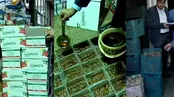 بسته‌بندی کثیف خرما در جنوب تهران