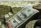 دستگیری سرشاخه‌های قیمت گذاری جعلی ارز‌ها