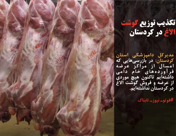 مدیرکل دامپزشکی استان کردستان: در بازرسی&zwnj;هایی که امسال از مراکز عرضه فرآورده&zwnj;های خام دامی داشته&zwnj;ایم تاکنون هیچ موردی از عرضه و فروش گوشت الاغ در کردستان نداشته&zwnj;ایم.
