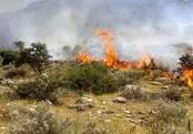 آتش برای دهمین بار در میانکاله زبانه کشید