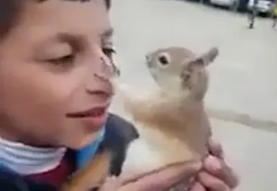 آموزش سنجاب به زبان کردی توسط پسربچه ایرانی