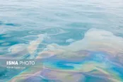 محدوده گناوه در حال پاکسازی از لکه‌های نفتی است