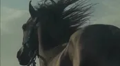 پایش را بسته بودند ولی در سرش دویدن ادامه داشت...