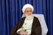تاکید آیت‌الله نوری همدانی بر تسریع در انتخاب رهبری