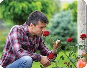 تقویت حافظه با استشمام ۴۰ بوی مختلف