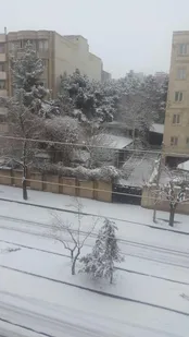 برف در باغستان غربی,کرج