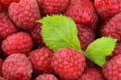 میوه هایی مناسب برای بیماری کلیوی و سنگ کلیه