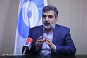 واکنش کمالوندی به اتفاقات اخیر پیرامون نیروگاه بوشهر