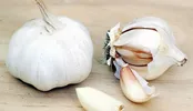عفونت‌های باکتریایی را با این مواد غذایی متوقف کنید