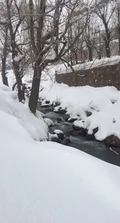 تهران شمشک