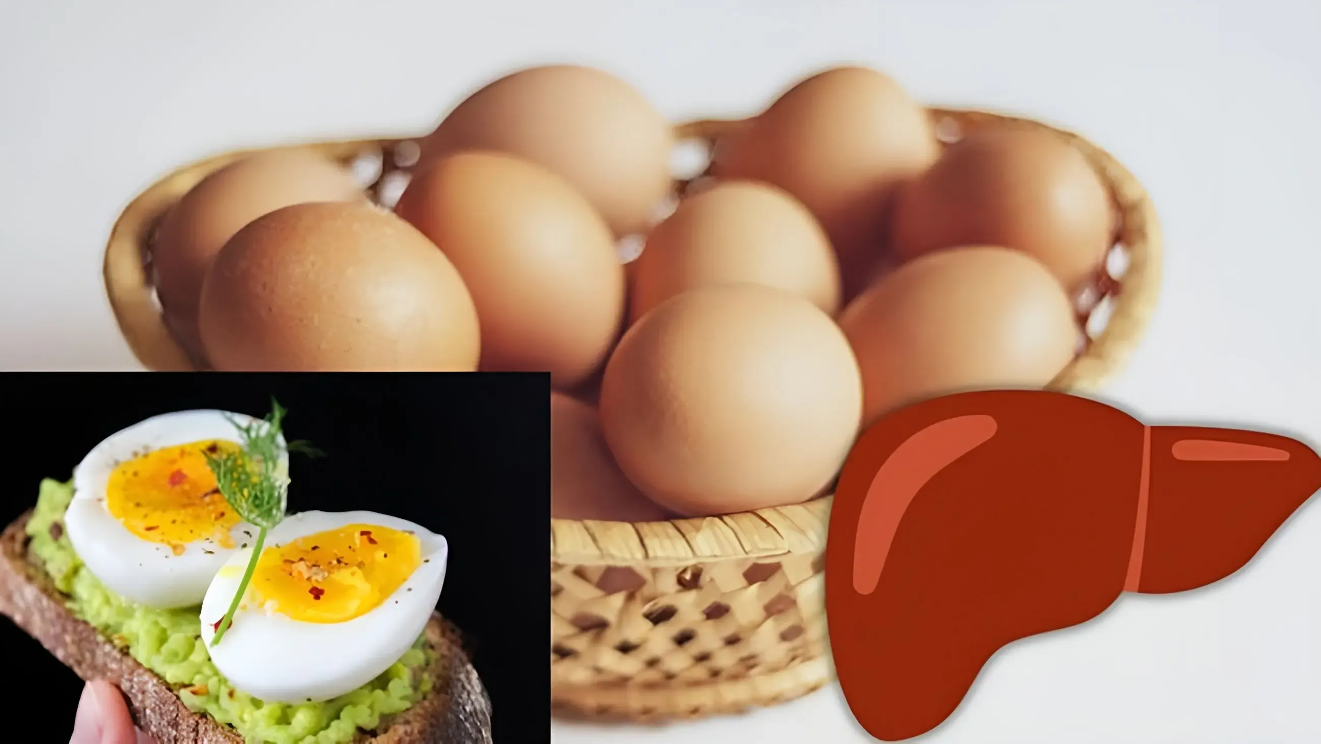 تخم‌ مرغ برای کبد مفید است یا مضر؟