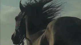 پایش را بسته بودند ولی در سرش دویدن ادامه داشت...