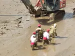 تابناک..