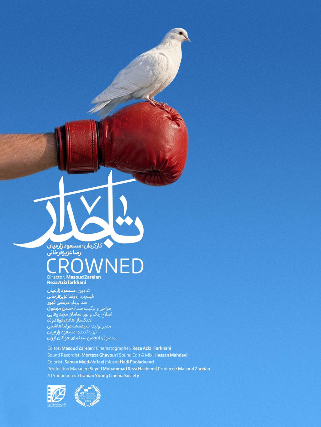 یازده فیلم‌ مهم جشنواره فیلم کوتاه تهران که باید تماشا کنید