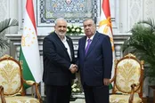 دیدار وزیر نیرو ایران با رئیس‌جمهور تاجیکستان