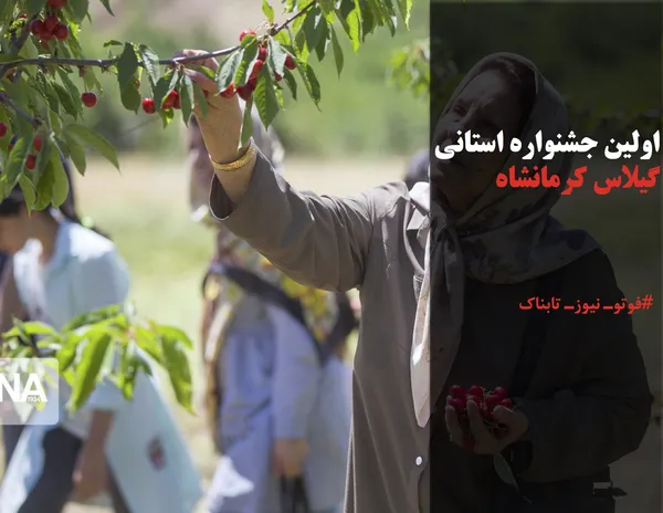 اولین جشنواره استانی گیلاس کرمانشاه