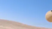 ویدیوی مانور ضد هلی بورن ایران که وایرال شد