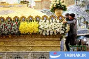 گل آرایی ضریح حضرت معصومه (س) به مناسبت سالروز ورود ایشان به قم