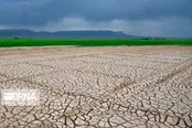 اجرای بیابان‌زدایی ۷.۵ میلیون هکتار از اراضی بحرانی