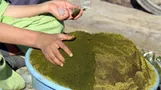 فروش آزادانه ماده ویرانگر در کوچه و خیابان/ زوال آهسته و پیوسته با ماده ای که مخدر نیست!