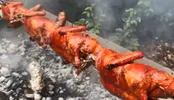 دستور پخت کباب اردک به سبک ایرانی