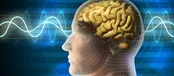 پیری مغز را معکوس کنید
