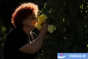 عکس: جشنواره نمایش گل رز در اسلوونی