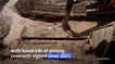 تصاویر شخم زدن افغانستان برای طلا