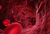 چه مقدار خون در بدن انسان وجود دارد؟