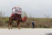 بندر ترکمن