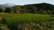 روستای زیبای شهر بیجار در رشت