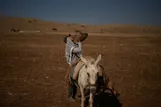 عکس: دامداران فلسطینی و روزهای ناامن