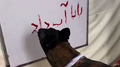 فارسی نوشتن یک سگ: بابا آب داد!