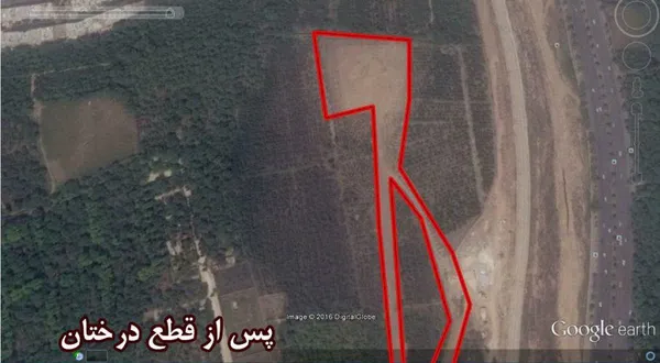 تابناک