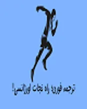 همه چیز درباره ترجمه فوری!