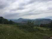 جنگل آينالو نزديكي شهرستان كليبر