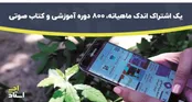اشتراک اندک ماهیانه، ۸۰۰ دوره آموزشی و کتاب صوتی‌