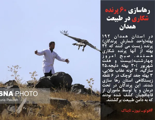 در استان همدان ۱۹۲ بهله(واحد شمارش پرندگان) پرنده زیست می کنند که ۳۲ بهله از آنها پرنده شکاری هستند. صبح امروز چهارشنبه(بیست و هفت شهریور )۳۰ بهله دلیجه،۲۵ سارگپه، ۳ گونه عقاب طلایی، ۳ بهله جغد کوچک در ۶ نقطه زیستگاهی استان رها سازی شدند. این پرندگان در تحت درمان و یا توسط ماموران از قاچاقچیان کشف شده بودند که به دامن طبیعت برگشتند.

