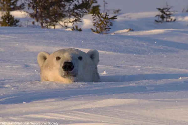 (&copy; Christine Haines/National Geographic Traveler Photo Contest
