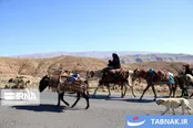 کوچ بهاره عشایر ایلام