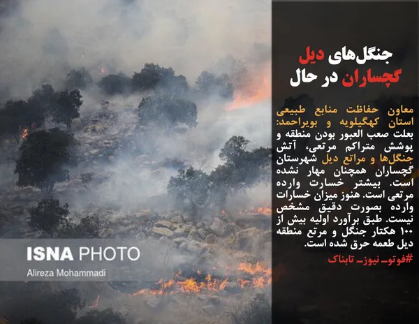 معاون حفاظت منابع طبیعی استان کهگیلویه و بویراحمد: بعلت صعب العبور بودن منطقه و پوشش متراکم مرتعی، آتش جنگل&zwnj;ها و مراتع دیل شهرستان گچساران همچنان مهار نشده است. بیشتر خسارت وارده مرتعی است. هنوز میزان خسارات وارده بصورت دقیق مشخص نیست. طبق برآورد اولیه بیش از ۱۰۰ هکتار جنگل و مرتع منطقه دیل طعمه حرق شده است.
