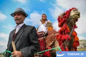 جشنواره عشایر آذربایجان
