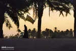 تابناک