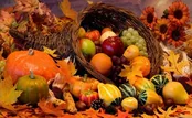 ۵ ماده غذایی مناسب برای درمان بیماری‌های پاییزی