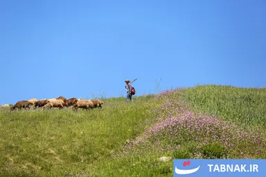 عکس: هزارجریب، سرزمینی در ارتفاعات